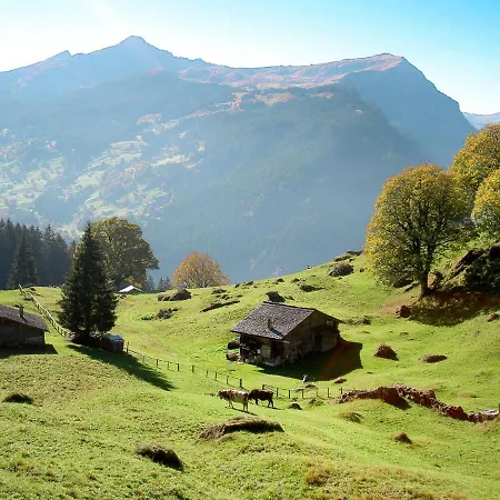 Nagano By Interhome شقة جريندلوالد