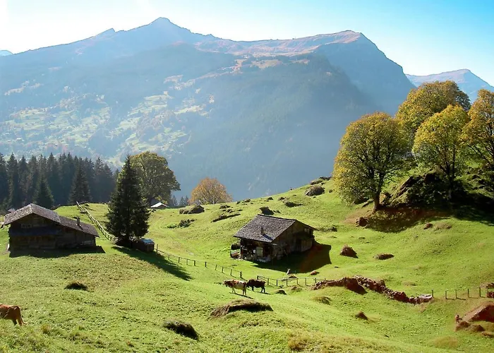 Nagano By Interhome Appartamento Grindelwald